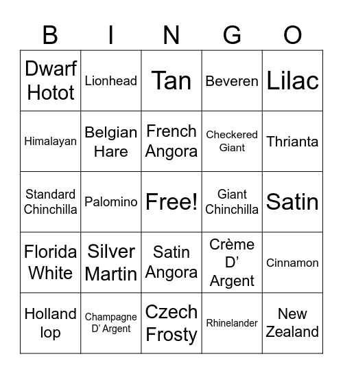 Rabbit Breeds 4H Project Bingo Card