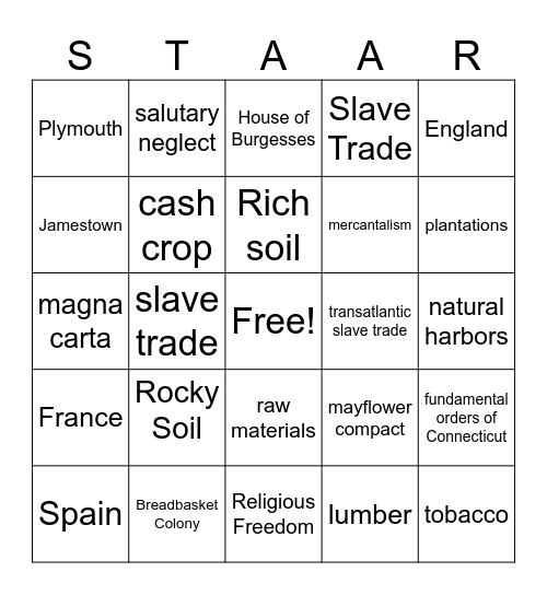 COLONIZATION AND EXPLORATION Bingo Card