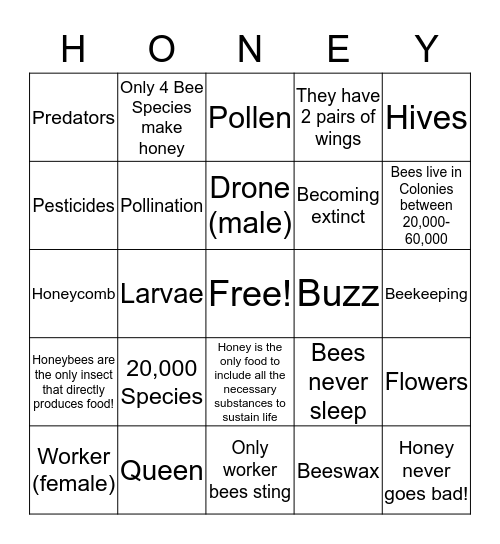 HONEY Bingo Card