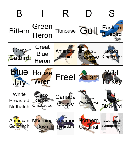 Bird Bingo Card