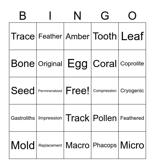 Fossils Bingo Card