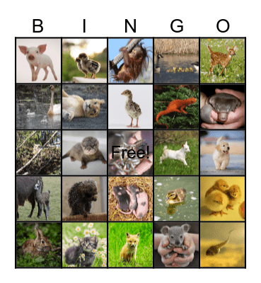 Baby Animal Bingo Card