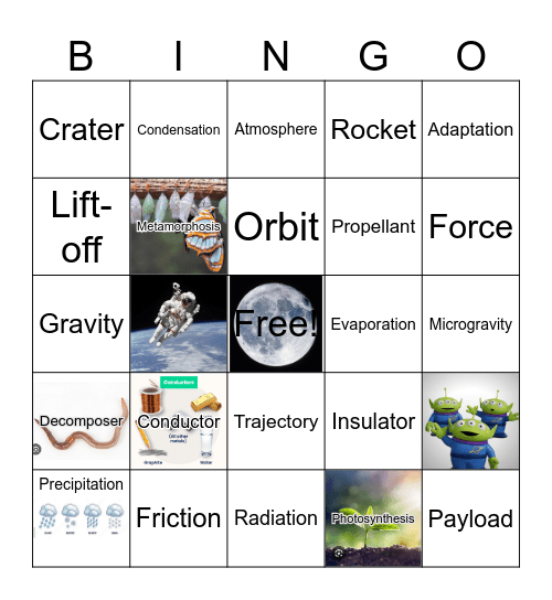 Science Terms Bingo Card
