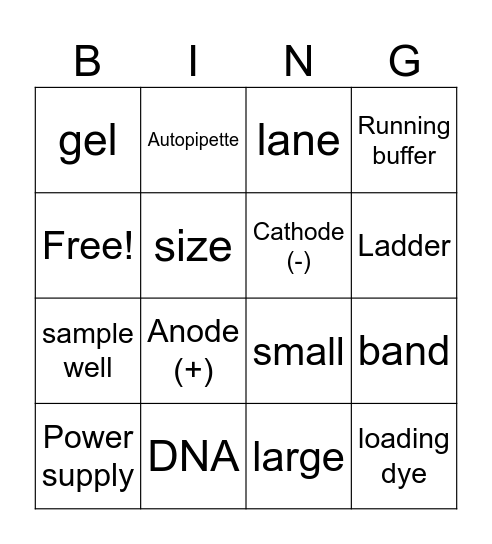 Gel Electrophoresis Bingo Card