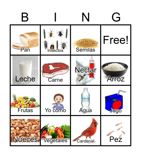 Comida (Food) Bingo Card
