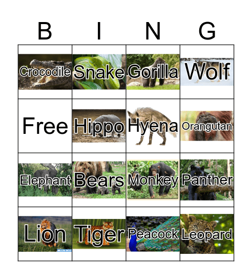 Animal Bingo Card