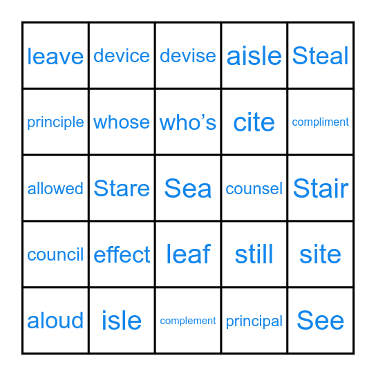 Homophones Bingo Card