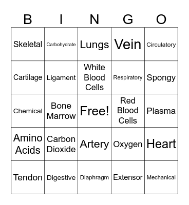 Human Body Bingo Card