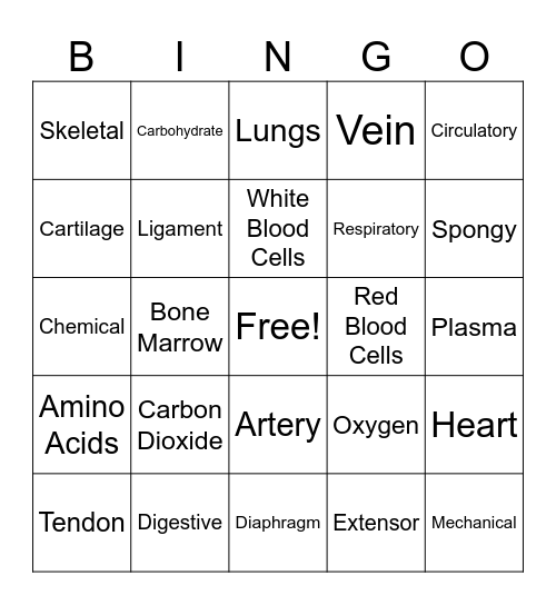 Human Body Bingo Card