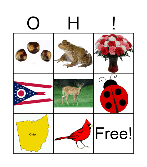 Ohio State Symbols Bingo Card