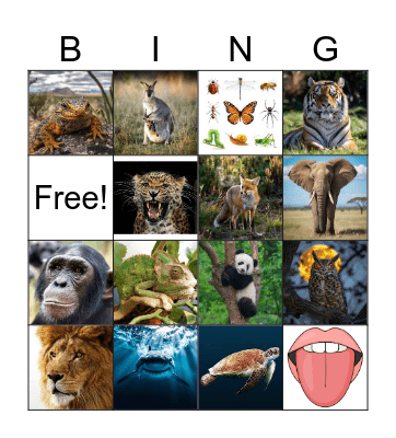 4 grade The World of Nature Bingo Card