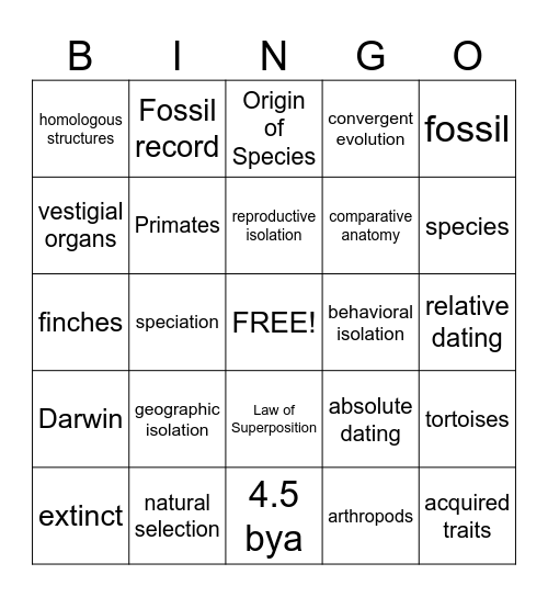 McGrath/Gilchrist Evolution Bingo Card