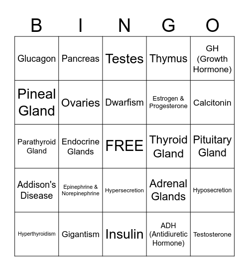 Endocrine System Bingo Card