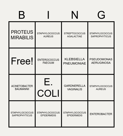 205 BINGO: UTI ORGANISMS Bingo Card