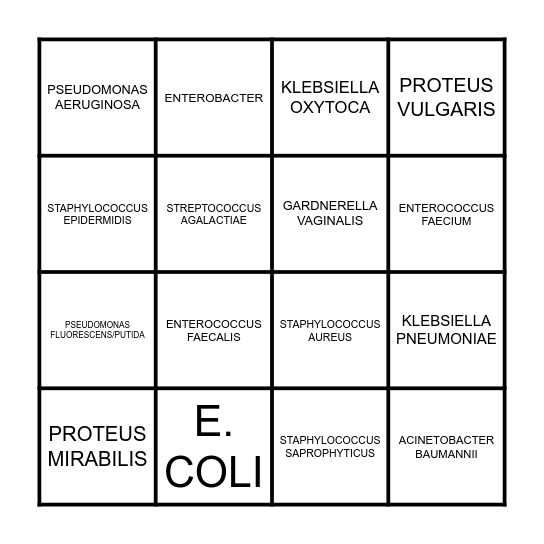 205 BINGO: UTI ORGANISMS Bingo Card