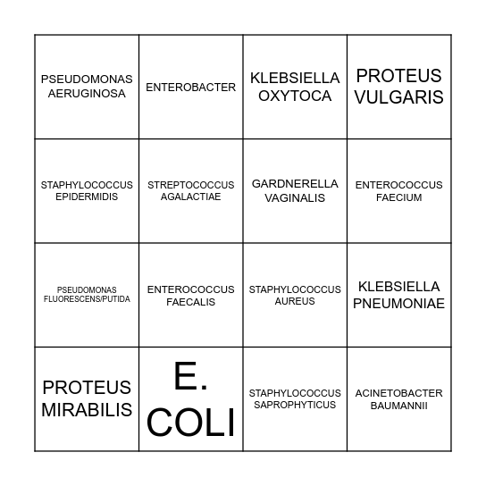 205 BING: UTI ORGANISMS Bingo Card
