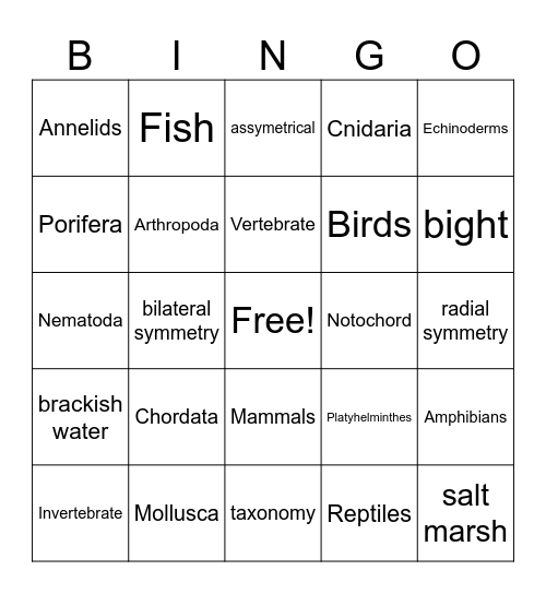 Kingdom Animalia Bingo Card