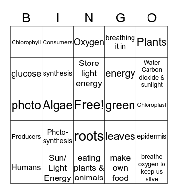 Photosynthesis Bingo Card