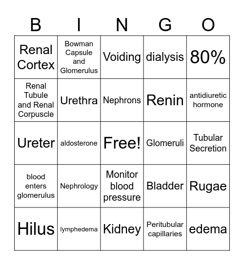 Chapter 30: Urinary System Bingo Card