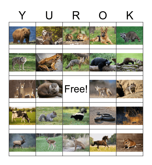 Animal Bingo Card