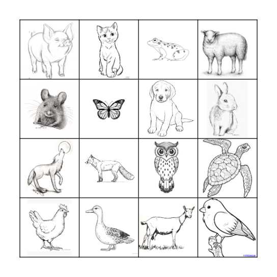 Les Animaux Bingo Card