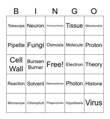 STEM Bingo Card