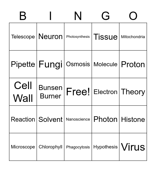 STEM Bingo Card
