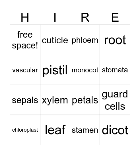 Plants - Help Wanted Bingo Card