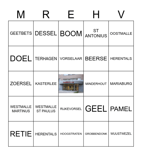 GEBOORTEDORPEN Bingo Card