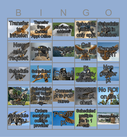Bingo 4/9/2026 Bingo Card