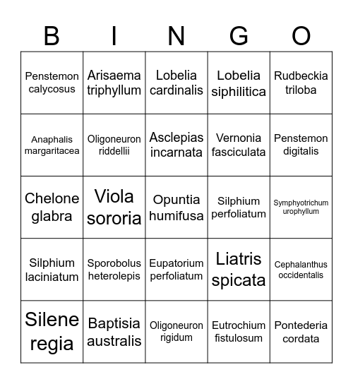 Native Plant Bingo Card