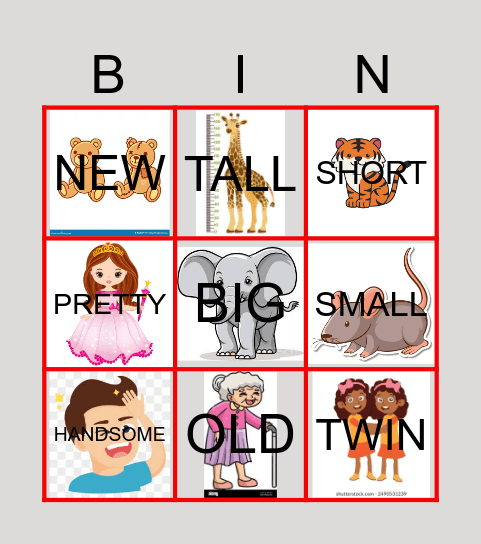 Types of adjectives Bingo Card