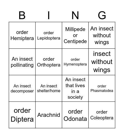 Bug Bingo Card