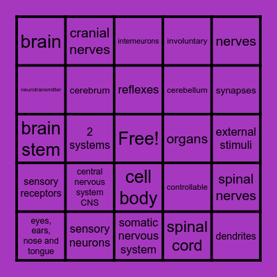 Nervous  System (K) Bingo Card