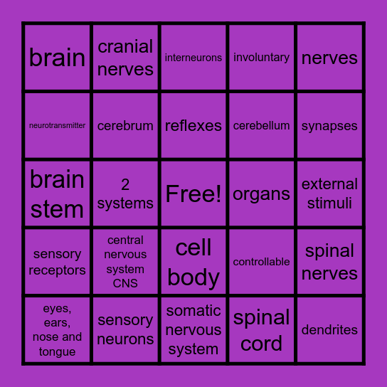 Nervous  System (K) Bingo Card