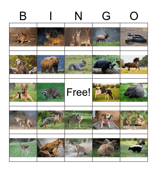 Animal Bingo Card