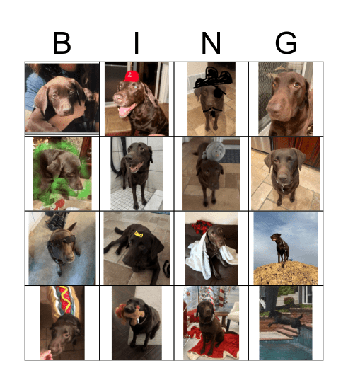 Mia's Birthday Bingo Card