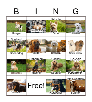 National Dog Day Bingo Card