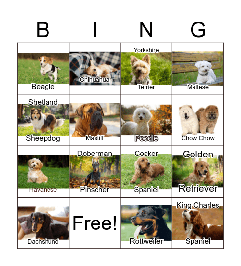 National Dog Day Bingo Card