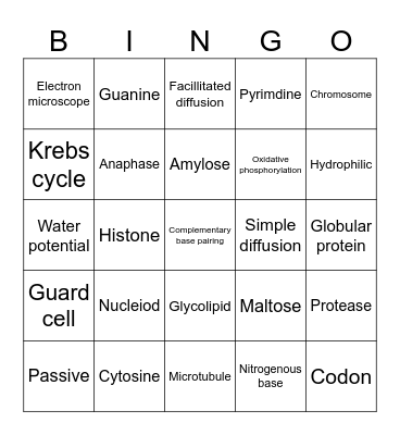 Biology EoS1 terms Bingo Card