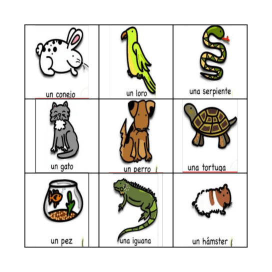 Mascotas (Pets) Bingo Card