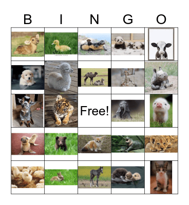 Oh Baby Baby Bingo Card