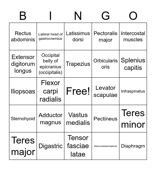 Muscle Memory Bingo Card