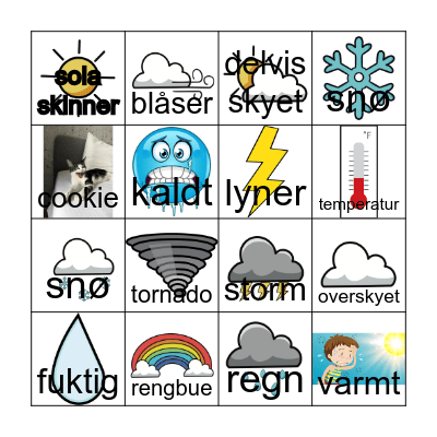 vær Bingo Card