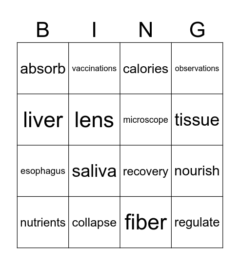 2nd grade Unit 10: Human Body Bingo Card