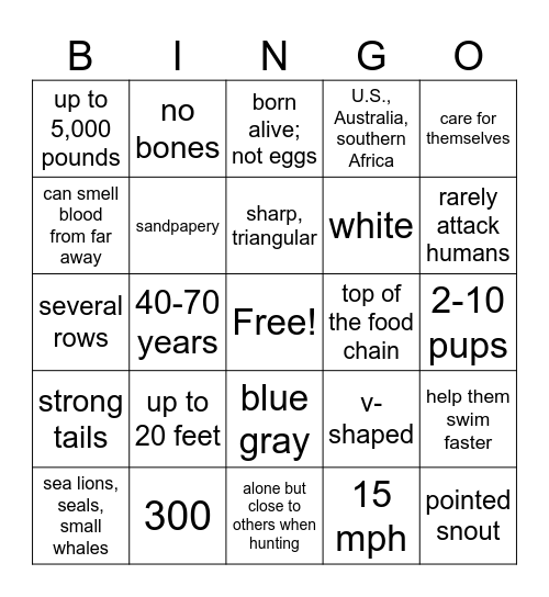 Great White Sharks Bingo Card