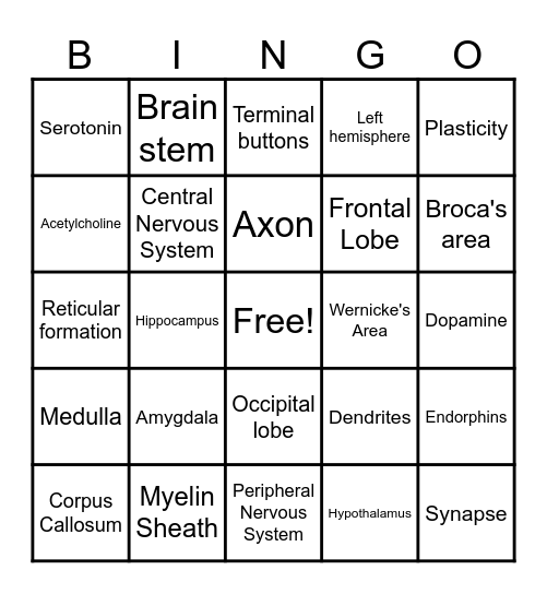 AP Psychology Review Bingo Card