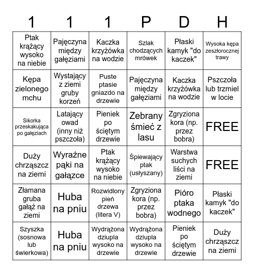 Bingo Owińska Bingo Card