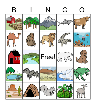 Animals & Habitats Bingo Card