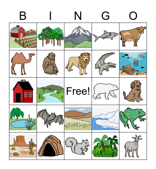 Animals & Habitats Bingo Card